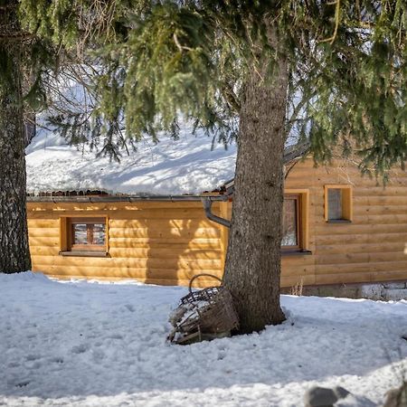 House Under The Velebit Mountain Villa Medak Eksteriør billede