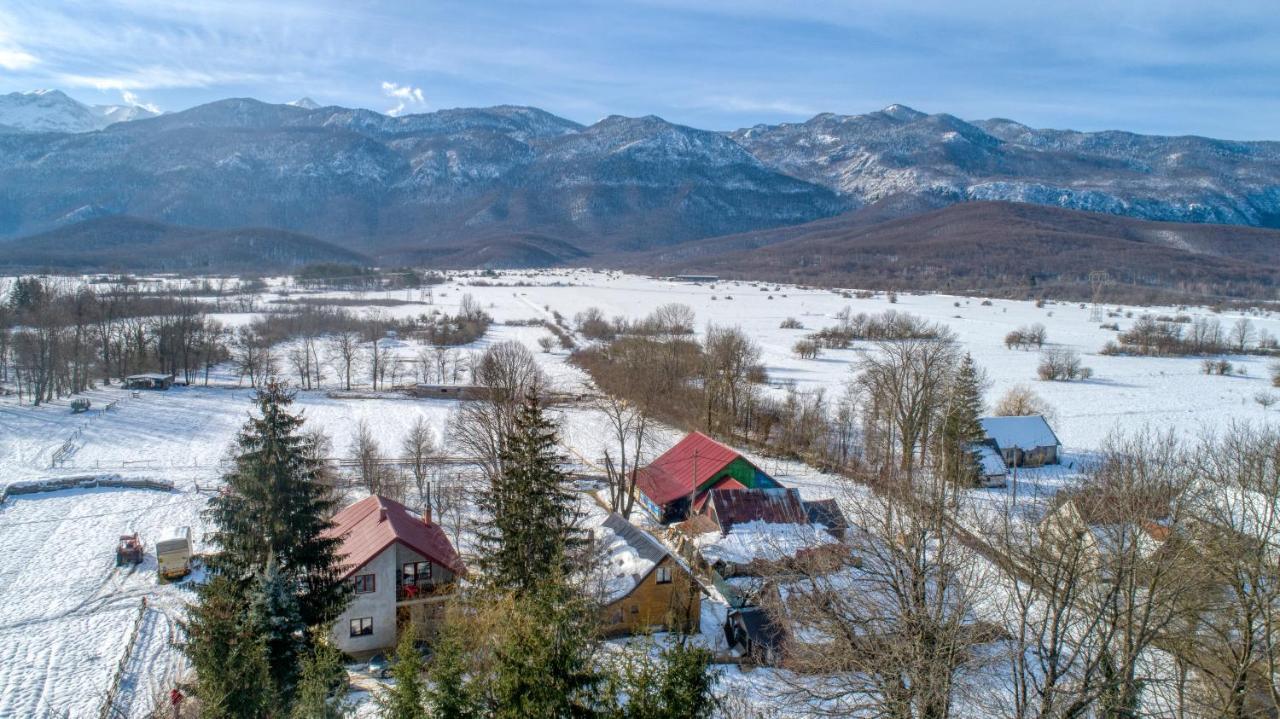 House Under The Velebit Mountain Villa Medak Eksteriør billede