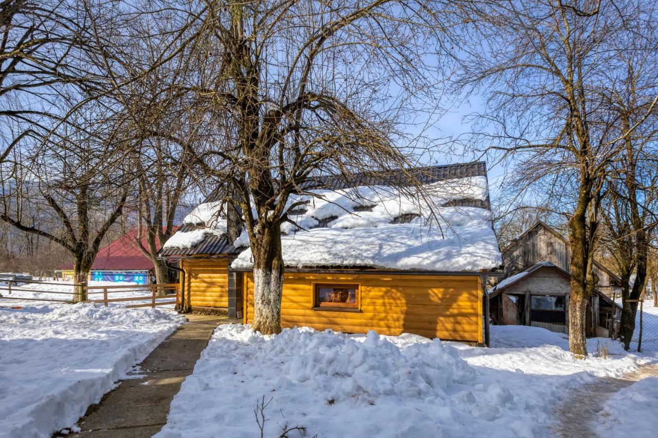 House Under The Velebit Mountain Villa Medak Eksteriør billede